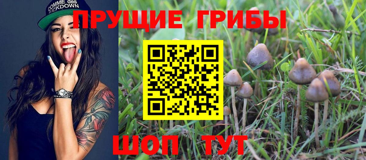 Псилоцибиновые грибы MAGIC MUSHROOMS Лангепас