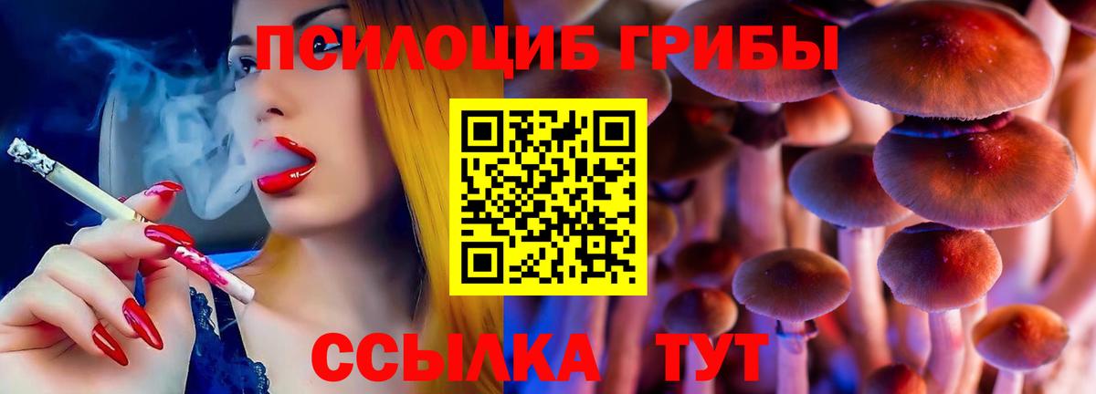 Псилоцибиновые грибы Psilocybine cubensis  Псилоцибиновые грибы Psilocybe  Лангепас  Вход с VPN 